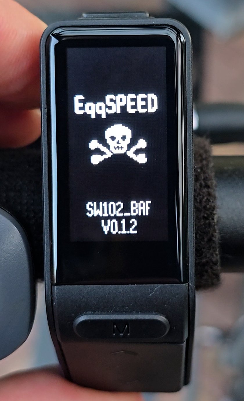 SW102-Startbildschirm mit Name und Version der Firmware